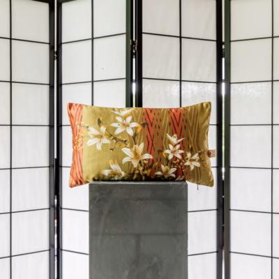Sun Collection